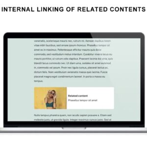 Automatic Internal Linking for Related Content