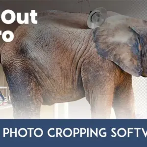 CutOut 8 Pro: The Best Photo Cropping Software | Lifetime Access