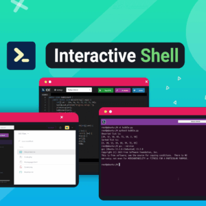 Interactive Terminal