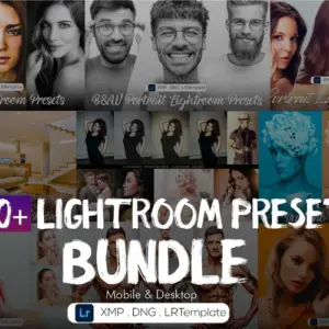 200+ Classic Lightroom Presets — Extended License