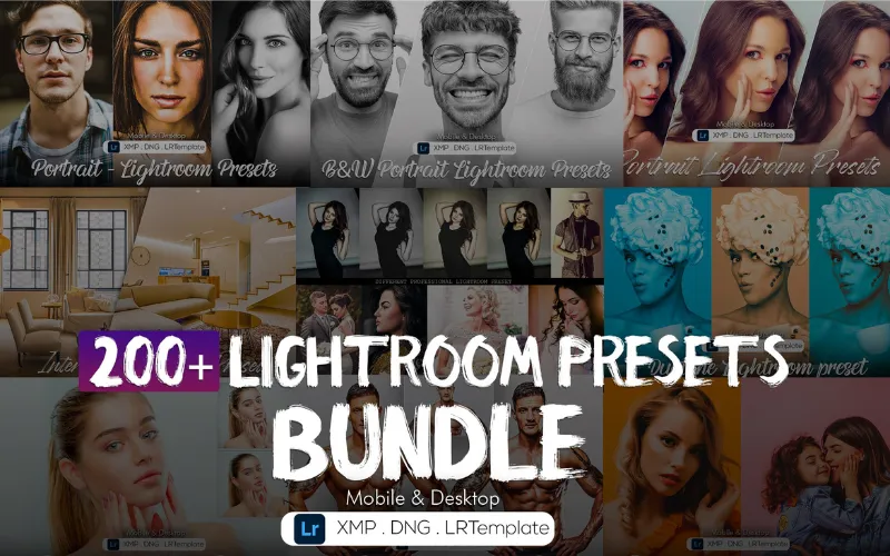 200+ Classic Lightroom Presets — Extended License