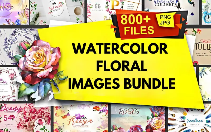 800+ Watercolor Floral Images Bundle — Extended License