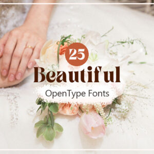 Beautiful OpenType Fonts Bundle — Extended License