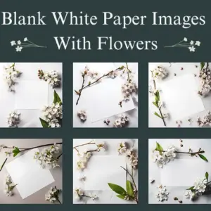 Blank White Paper Floral Images: Extended License