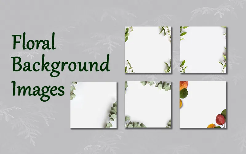 Free Floral Background Images Bundle (Extended License)