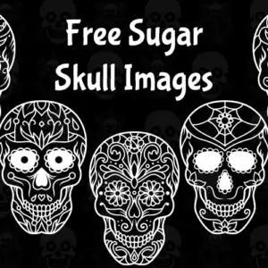 Free Sugar Skull Image Bundle
