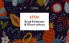 Fruit Patterns and Illustrations Bundle — Extended License