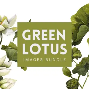 Green Watercolor Lotus Images Bundle — Extended License