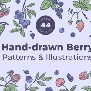 Hand-Drawn Berry Illustrations — Extended License