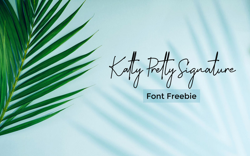 Katty Pretty Signature Script Font Freebie