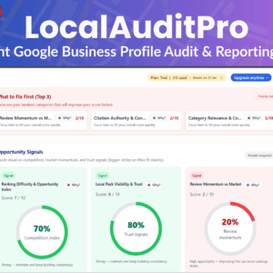 Local Business Audit and Optimization (5 words)