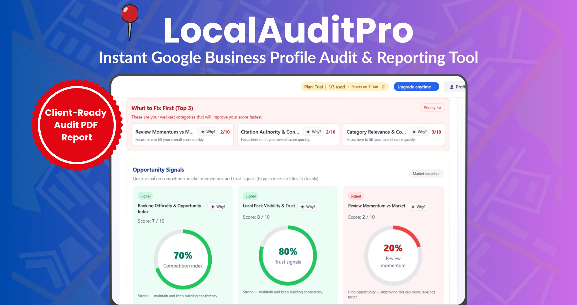 Local Business Audit and Optimization (5 words)