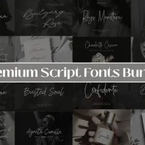 Premium Script Fonts Bundle — Extended License