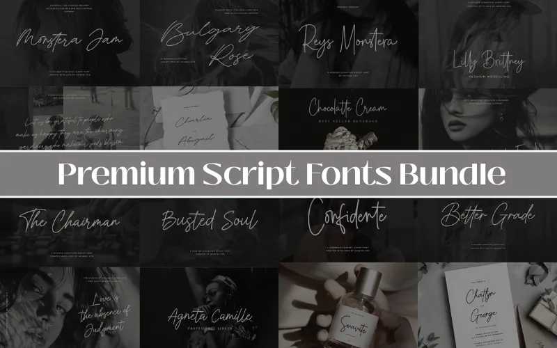 Premium Script Fonts Bundle — Extended License