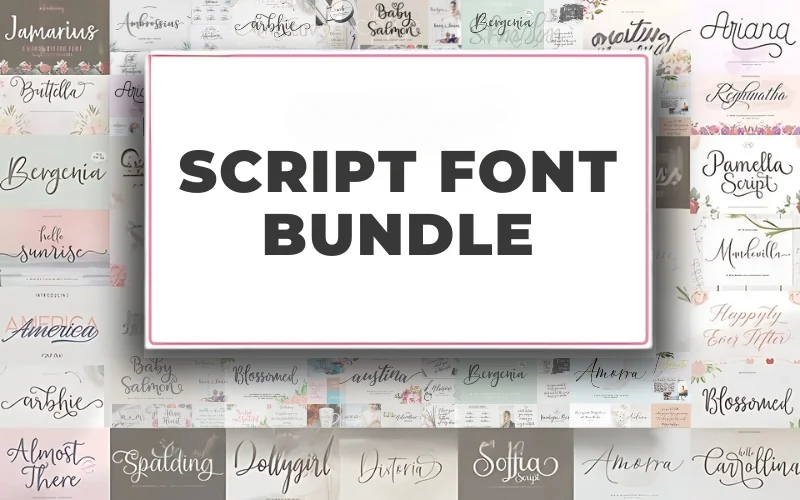 Script Font Bundle with Extended License
