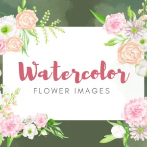 Set of 24 Watercolor Flower Images