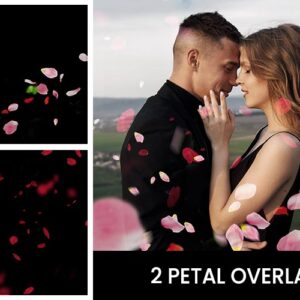 Two Petal Overlays with Extended License