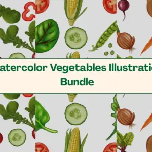 Watercolor Vegetable Illustrations Bundle — Commercial License