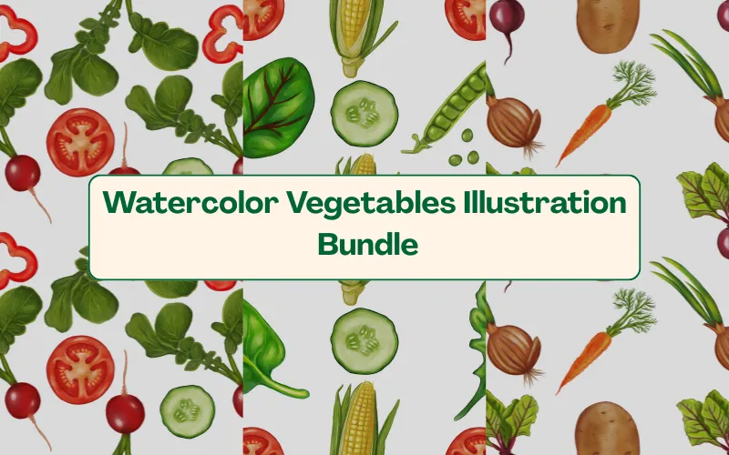 Watercolor Vegetable Illustrations Bundle — Commercial License