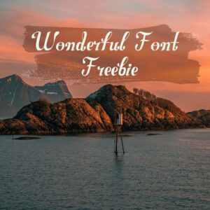 Wonderful Font Freebie Extended Commercial License