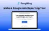 PengWing Meta Google Ads Reports (5 words)
