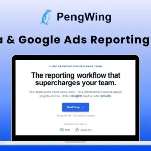 PengWing Meta Google Ads Reports (5 words)