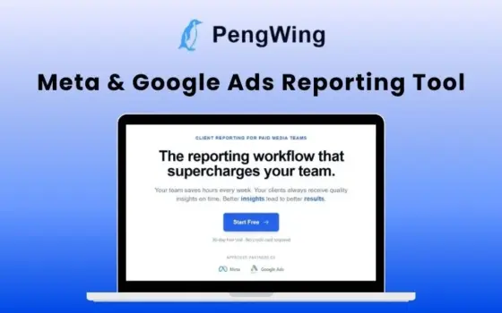 PengWing Meta Google Ads Reports (5 words)