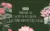 100 Lotus Flower Illustrations — Extended License