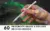 60 Procreate Grass & Foliage Brushes