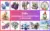 700+ Digital Watercolor Graphics Bundle — Commercial License