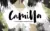 Camilla Textured Brush Font Trio — Extended License