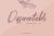 Free Differentiable Handwritten Font — Extended License