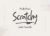 Free Erratic Scratchy Handwritten Font
