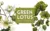 Green Watercolor Lotus Images Bundle — Extended License