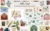 Letter Card Illustrations & Patterns | Extended License