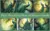 Peacock Images Bundle with Commercial License