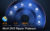 WinX DVD Ripper Platinum – Annual & Lifetime Plans